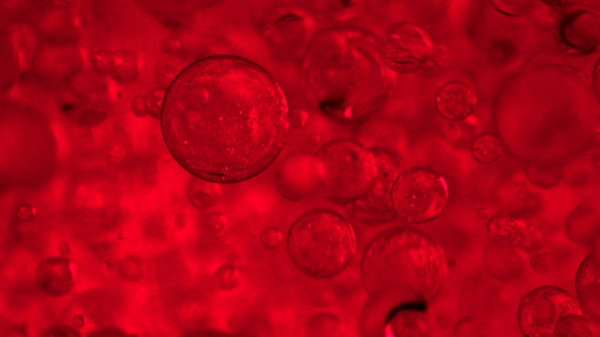 PRO-COLLAGEN COMPLEX