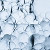 Niacinamide